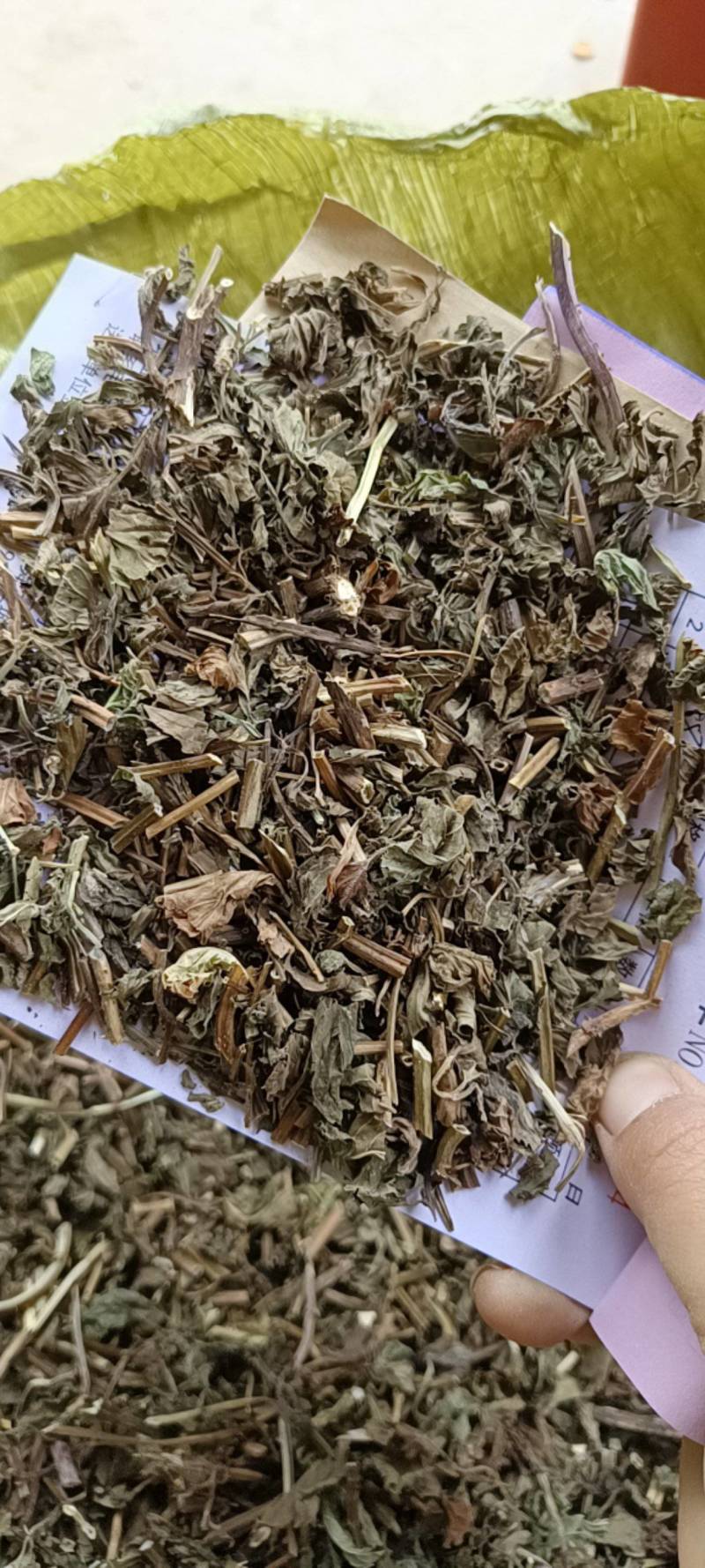薄荷，薄荷叶，野生纯干无硫，当年新货，薄荷中草药，丹丹中