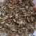 薄荷，薄荷叶，野生纯干无硫，当年新货，薄荷中草药，丹丹中