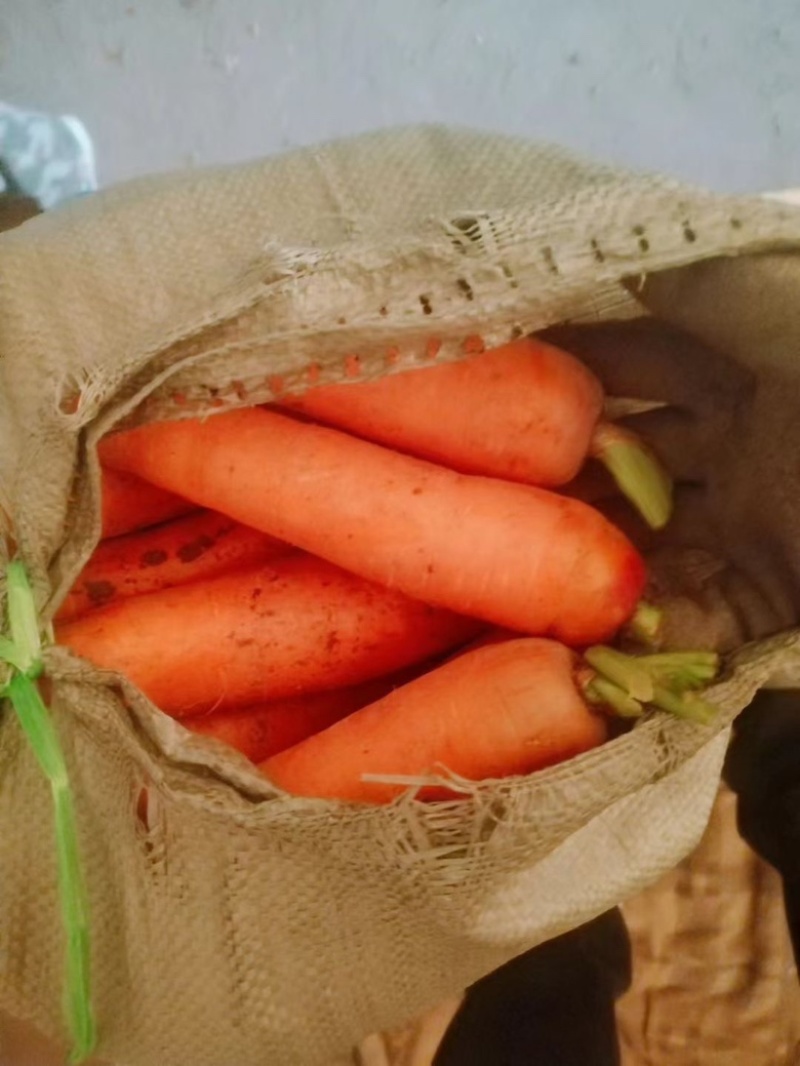 精品胡萝卜🥕大量现货价格便宜保证质量