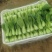 油菜