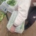 油菜