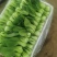 油菜