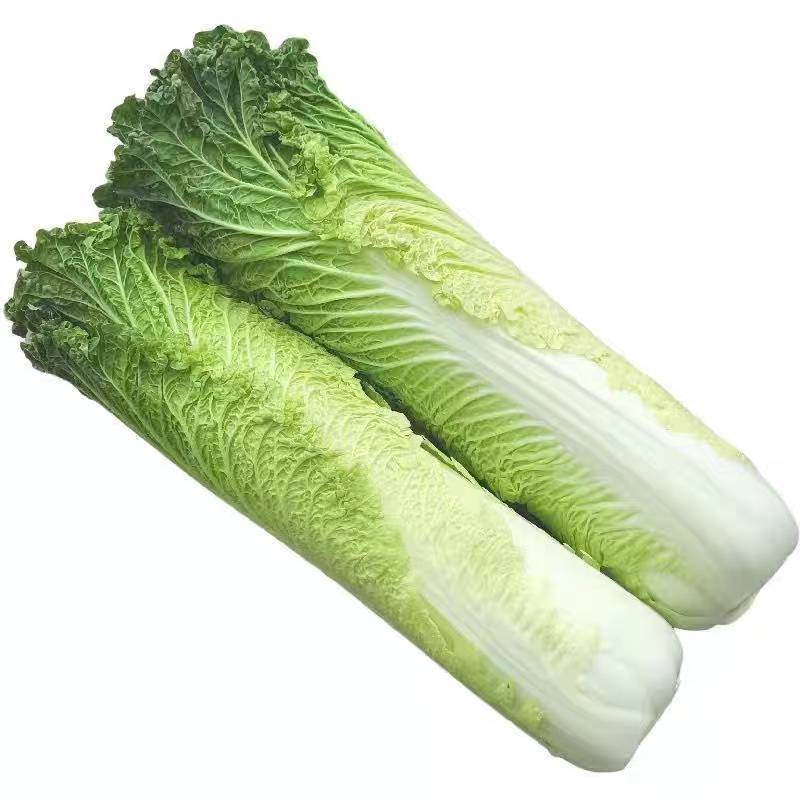 青麻叶菜一手货源支持视频看货保质保量欢迎订货