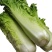 青麻叶菜一手货源支持视频看货保质保量欢迎订货