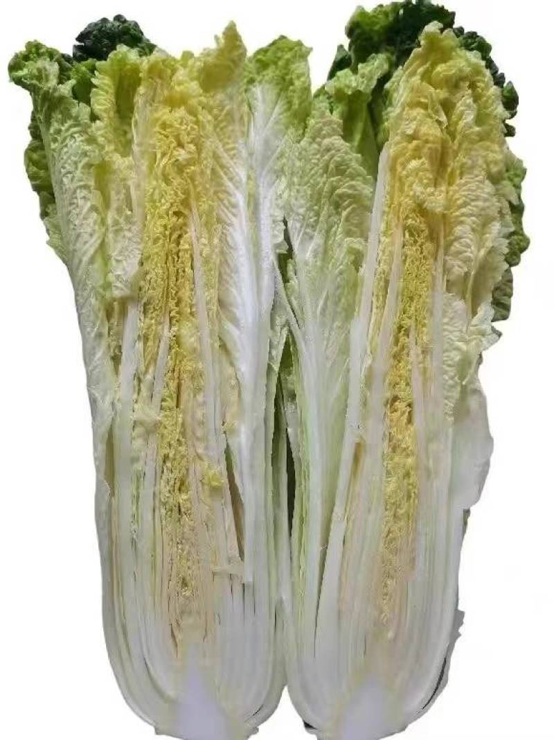 青麻叶菜一手货源支持视频看货保质保量欢迎订货