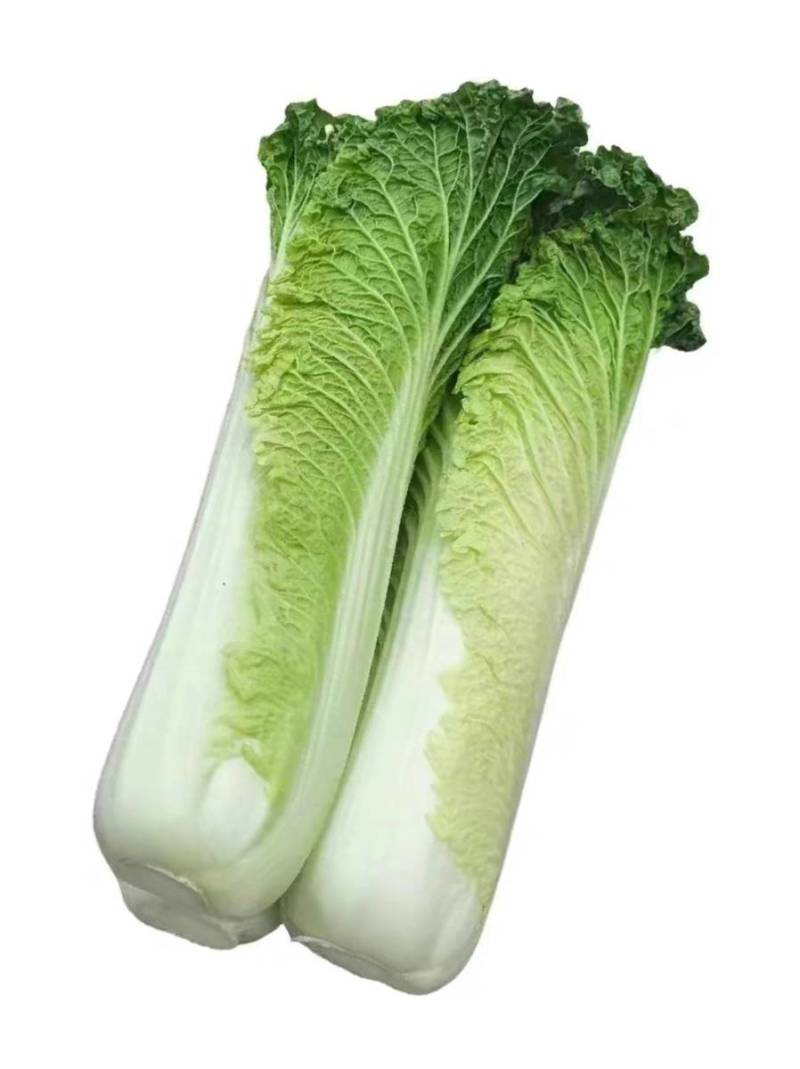 青麻叶菜一手货源支持视频看货保质保量欢迎订货