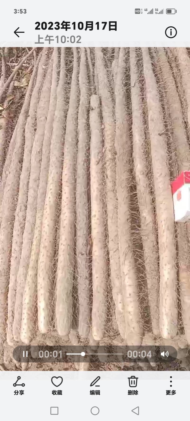 精品山药万亩基地大量出货，需要的老板联系我。