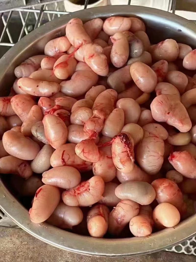 鸡腰子