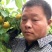 金寿杏50起步，陕西大荔县金寿杏产地代购代销，金寿杏批发