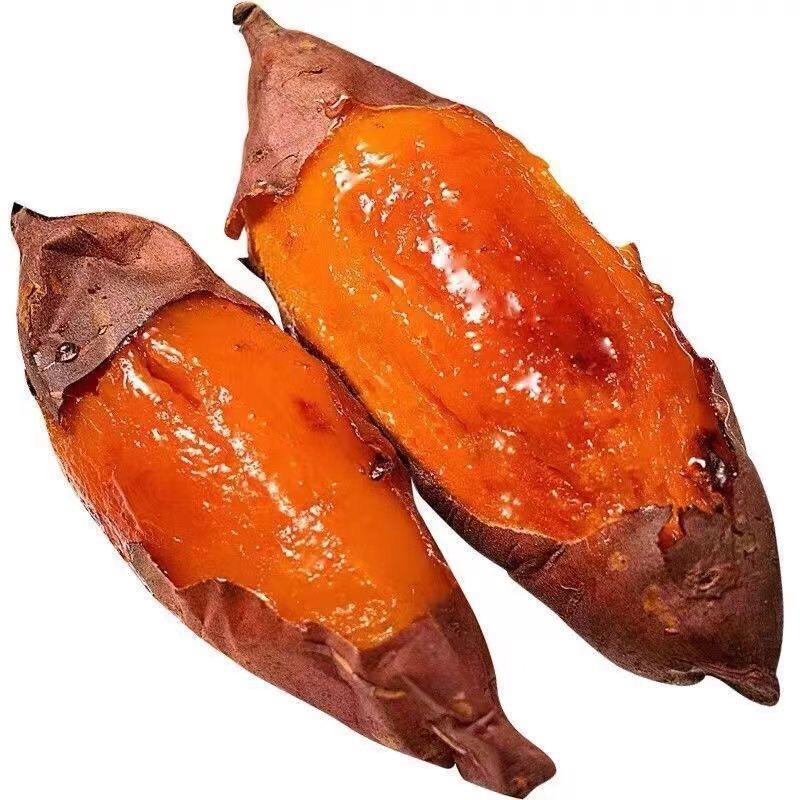海阳烟薯25一手货源全国发货质量保证价格便宜