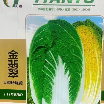 金翡翠大型玲珑黄白菜种子10g抗根肿病，