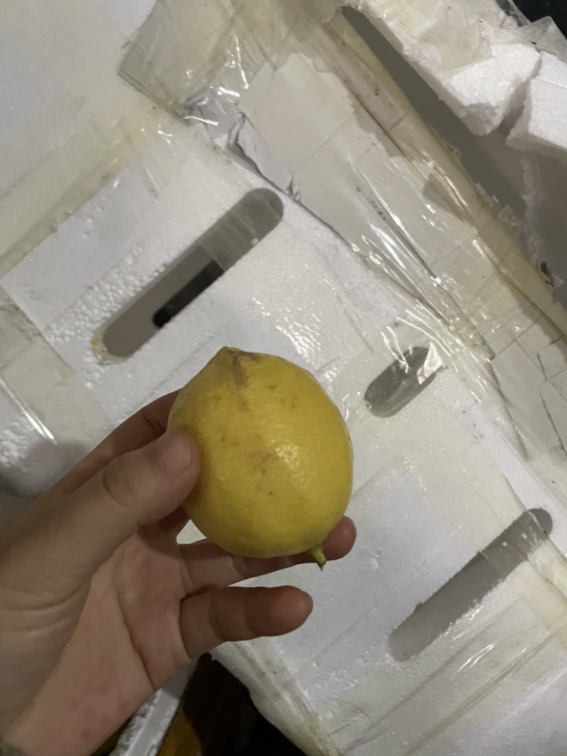 黄柠檬