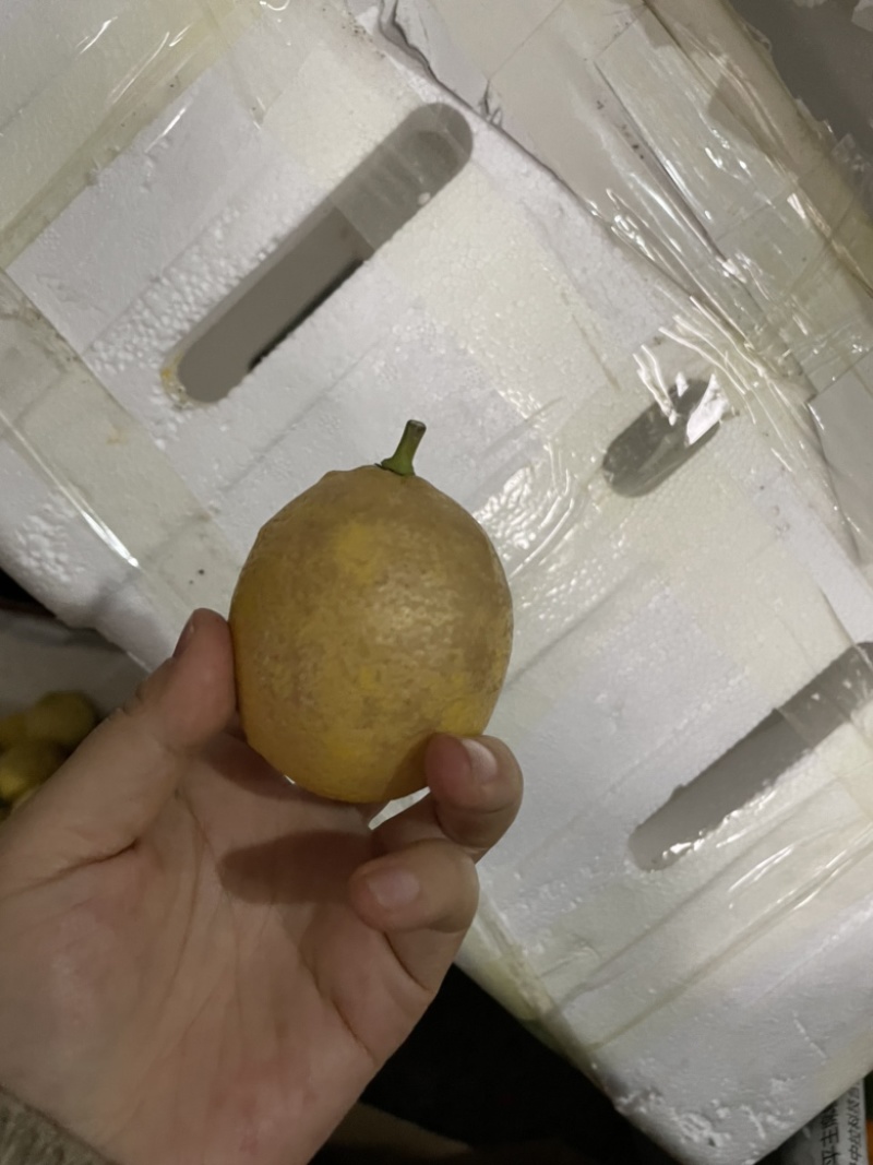 黄柠檬