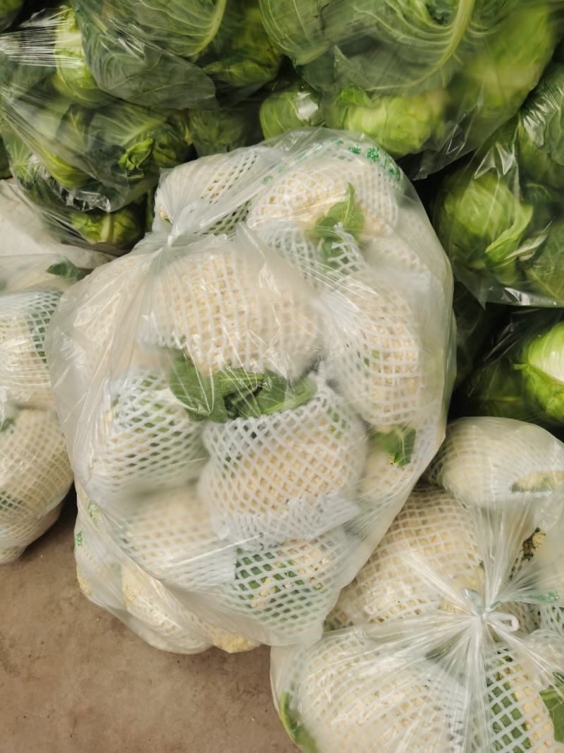 松花菜！散花菜，大量有货，支持视频看货！！！！