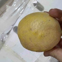 黄柠檬