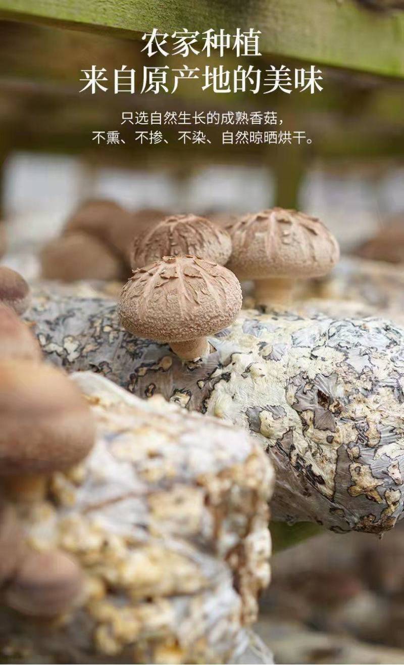 卢氏干香菇批发产地直发厚肉冬菇香菇干货量大从优
