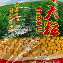 【推荐】黄豆东北红玖大颗粒黄豆量大价优欢迎联系