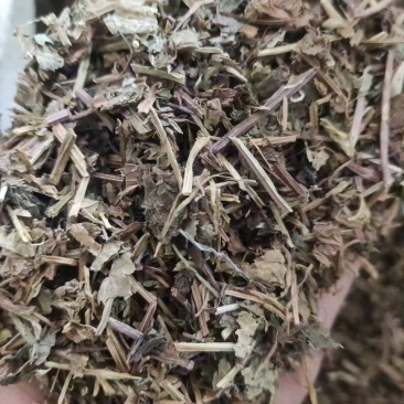 连线草干货冷背药材齐全欢迎大家咨询农副产品