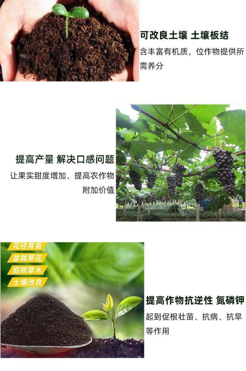 云南发酵牛粪文山干牛粪批发红河颗粒牛粪厂家
