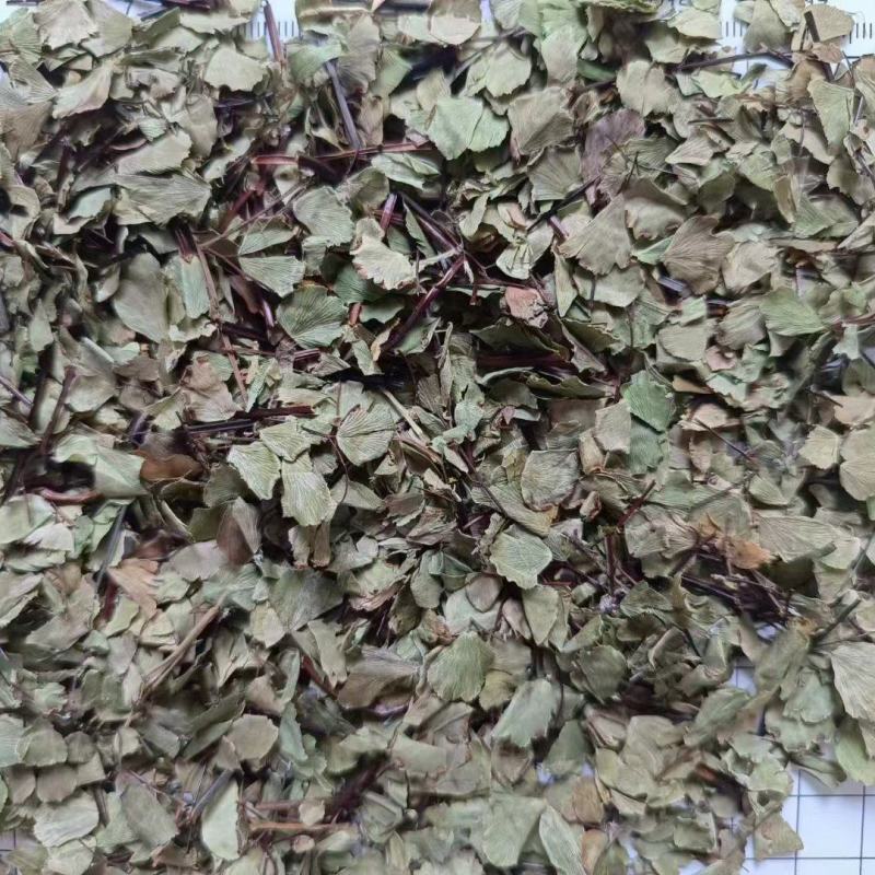 猪鬃草各种冷背药材齐全欢迎大家咨询农副产品