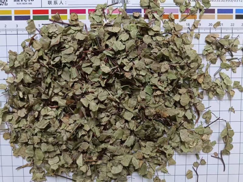 猪鬃草各种冷背药材齐全欢迎大家咨询农副产品