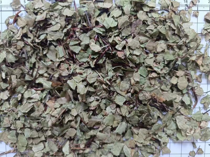 猪鬃草各种冷背药材齐全欢迎大家咨询农副产品