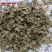 猪鬃草各种冷背药材齐全欢迎大家咨询农副产品