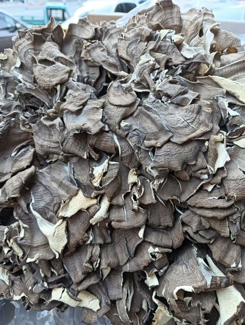 灰树花各种冷背药材齐全欢迎大家选购农副产品