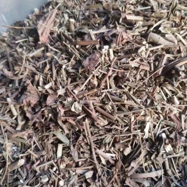 二色补血草各种冷背药材齐全欢迎选购农副产品