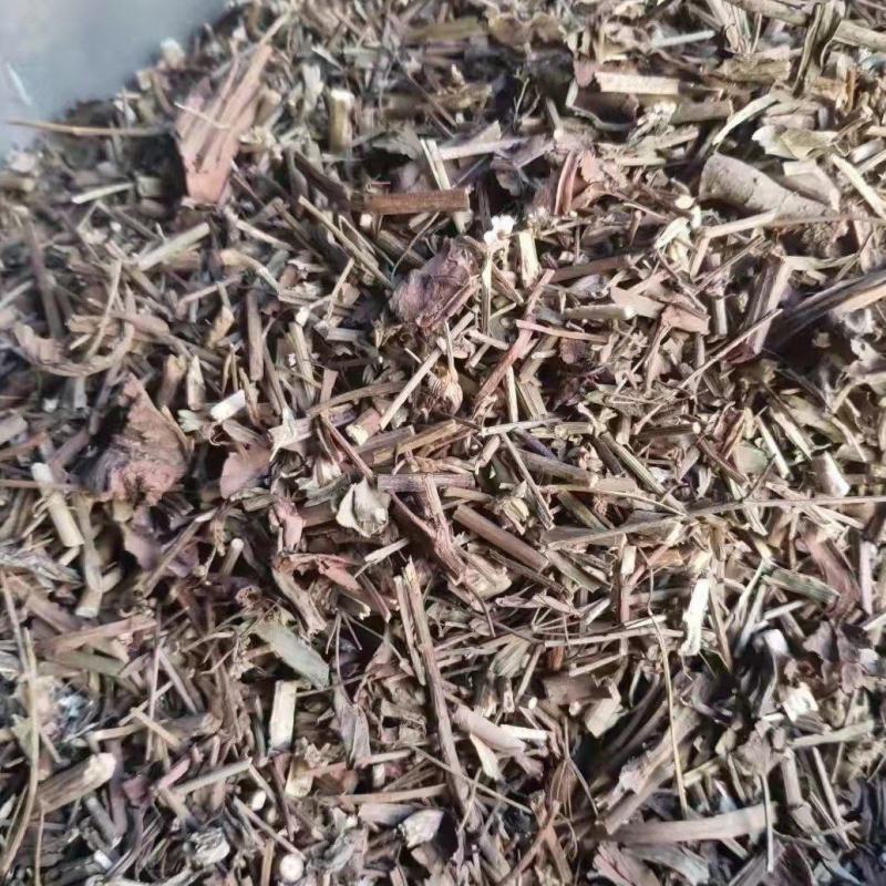 二色补血草各种冷背药材齐全欢迎选购农副产品