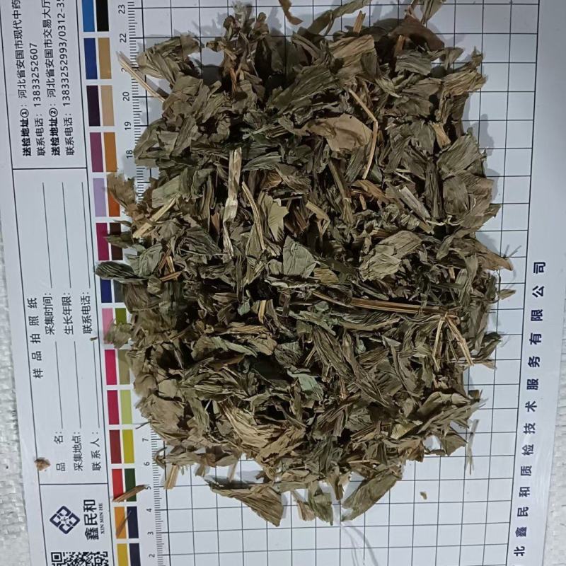 铃兰干货中药材各种冷背药材齐全欢迎选购农副产品
