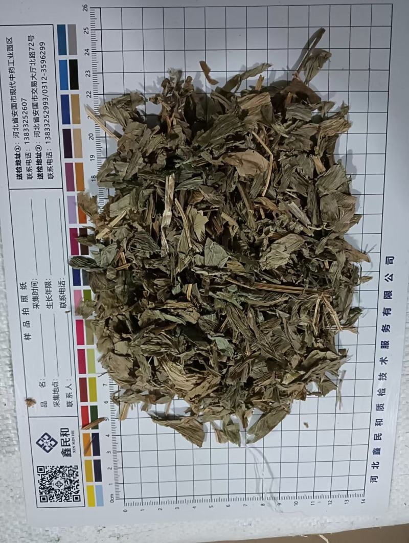铃兰干货中药材各种冷背药材齐全欢迎选购农副产品