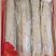 精品礼盒装冻舟山带鱼佳节送礼一手货源全国直达一吨起批