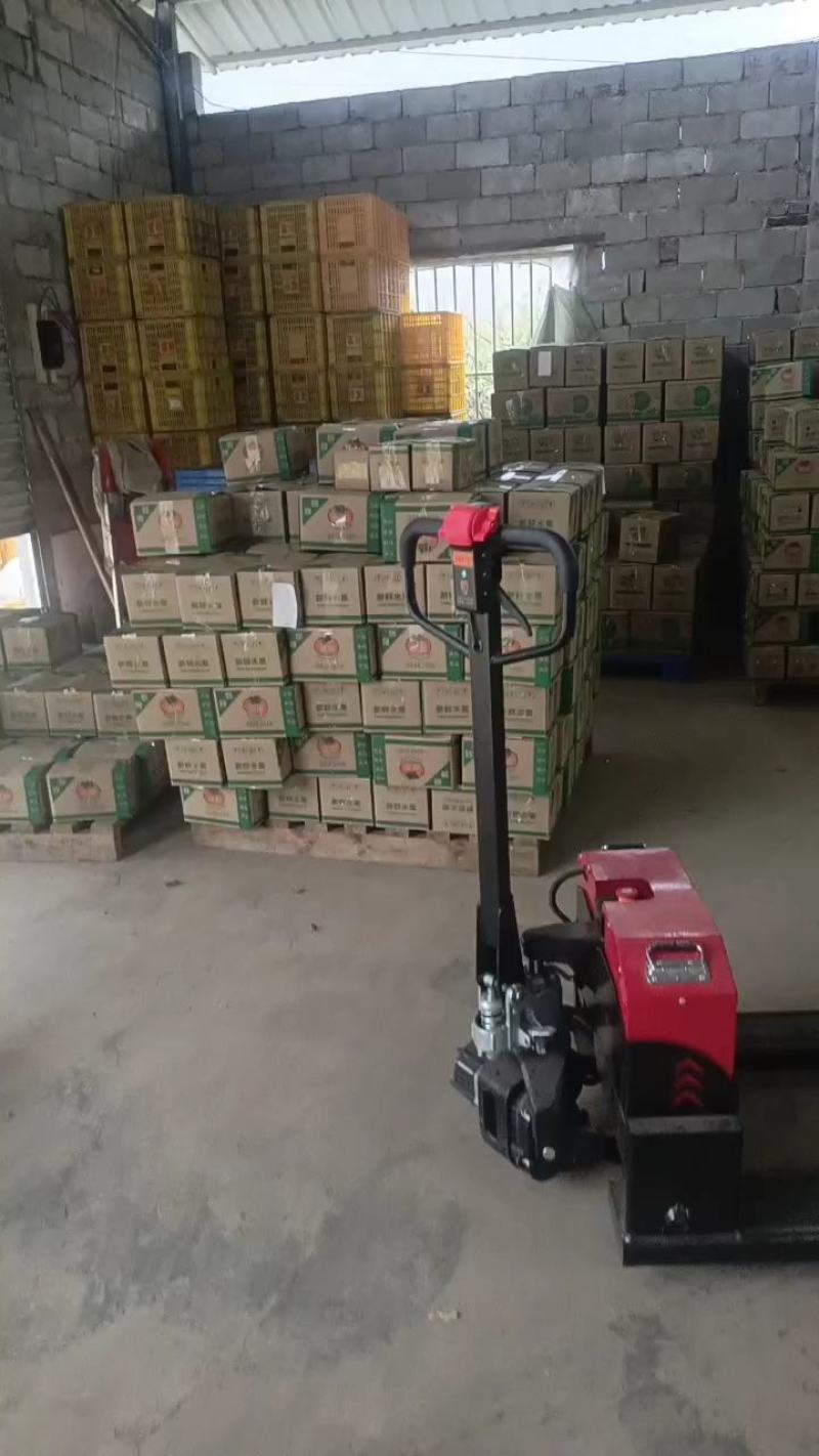 【推荐】广西恭城精品脆柿，支持视频看货价格真实