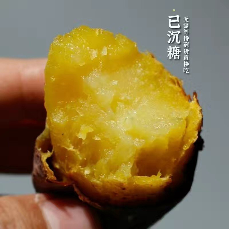 红瑶高端蜜薯电商巿场社区团购一件代发质保精品