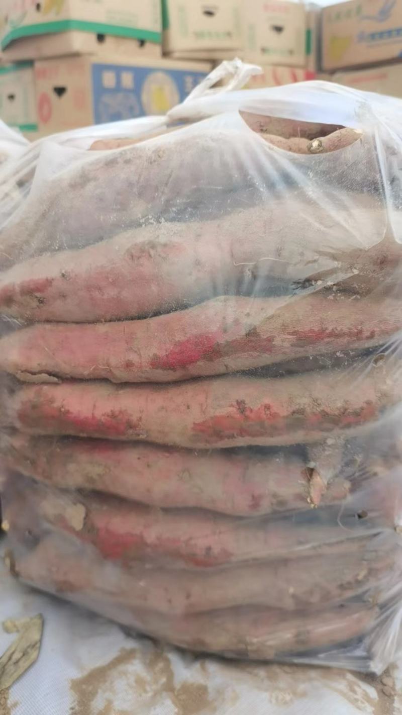 秦薯五号，合阳县熙晟缘农（价格合理，诚信第一，保证质量）