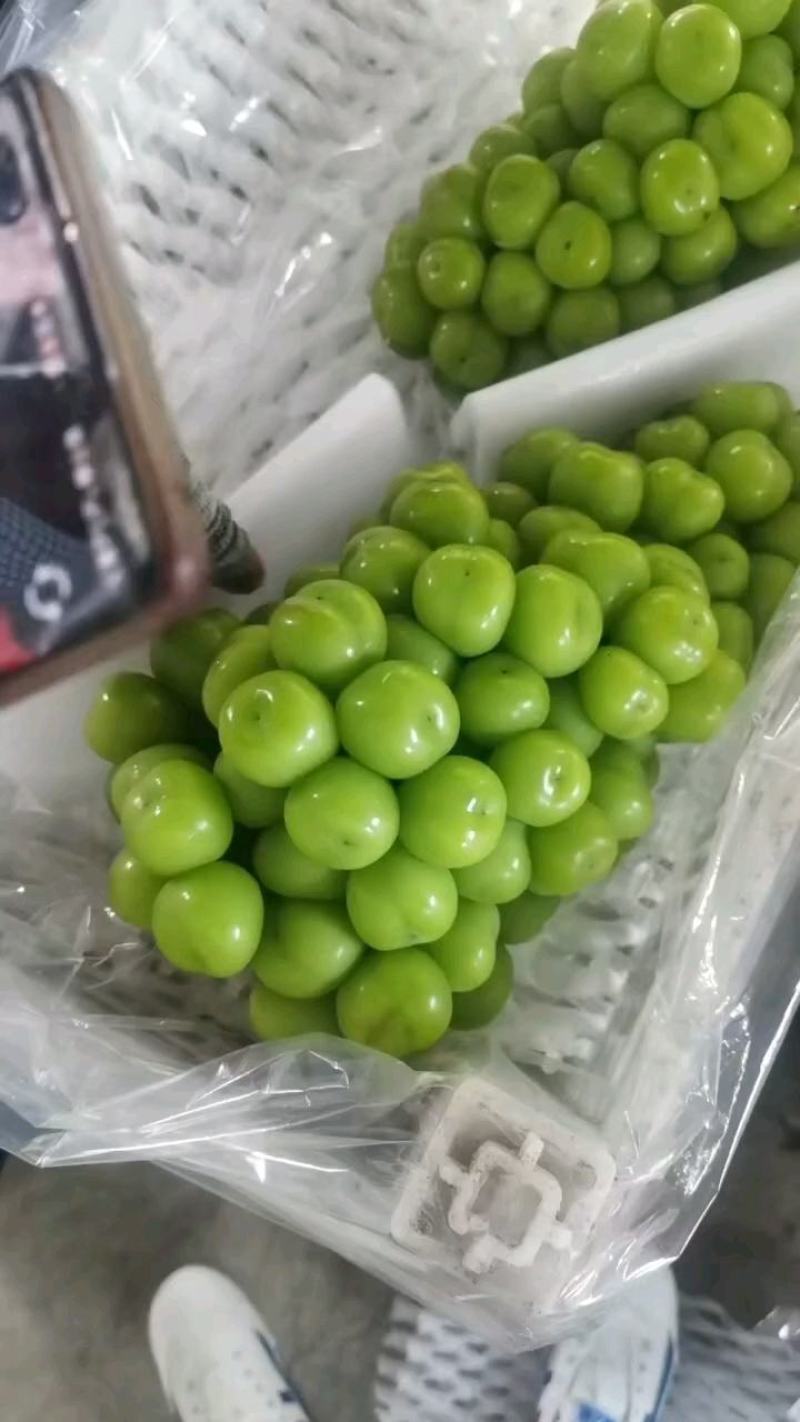 阳光玫瑰葡萄
