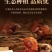 长白山灵芝孢子粉头道粉超细粉正品