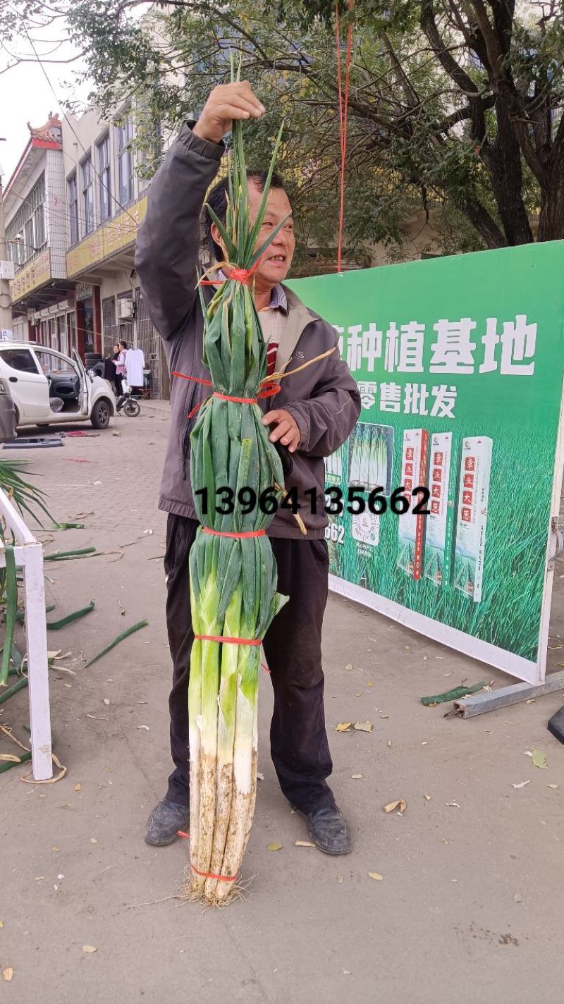 章丘长白大葱