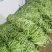 【扁豆】山东青扁芸豆承接批发餐饮全年有货网袋货品多样大扁刀豆