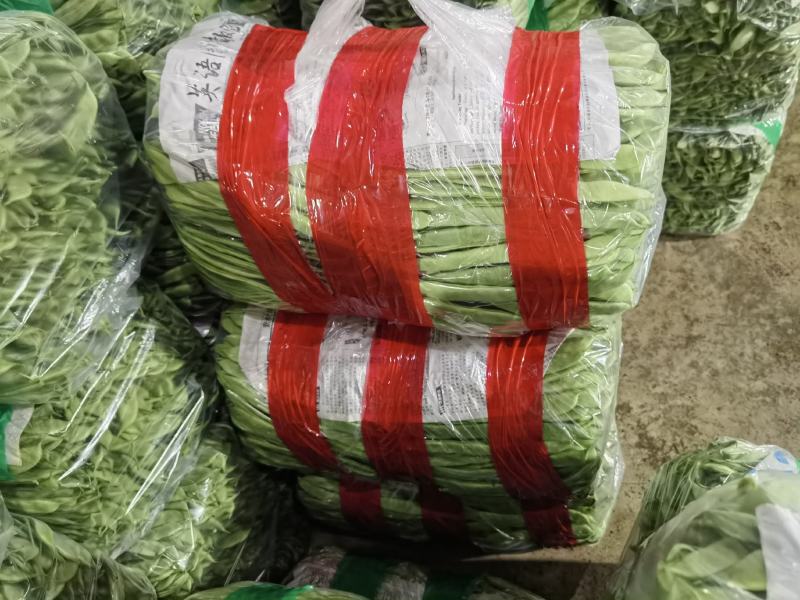 【扁豆】山东青扁芸豆承接批发餐饮全年有货网袋货品多样大扁刀豆