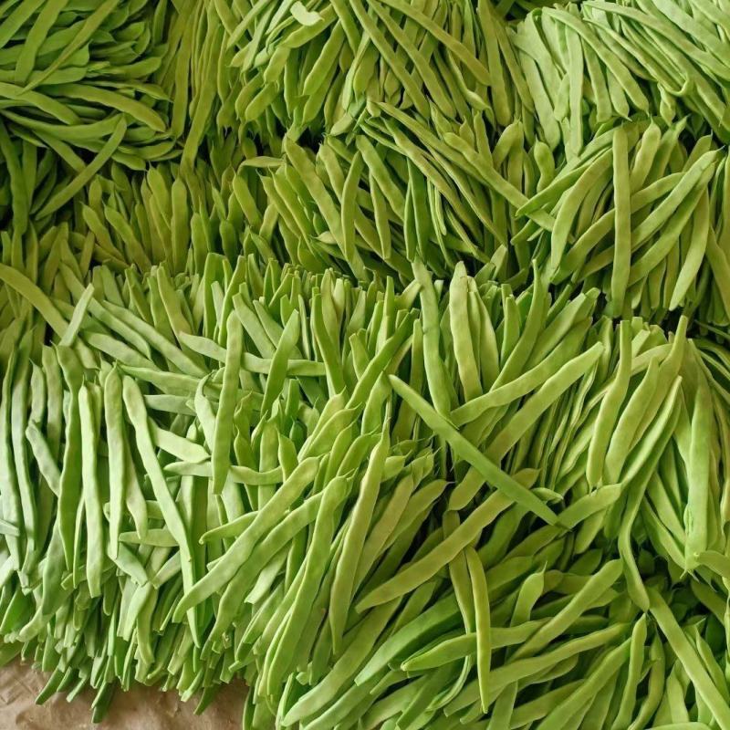 【扁豆】山东青扁芸豆承接批发餐饮全年有货网袋货品多样大扁刀豆