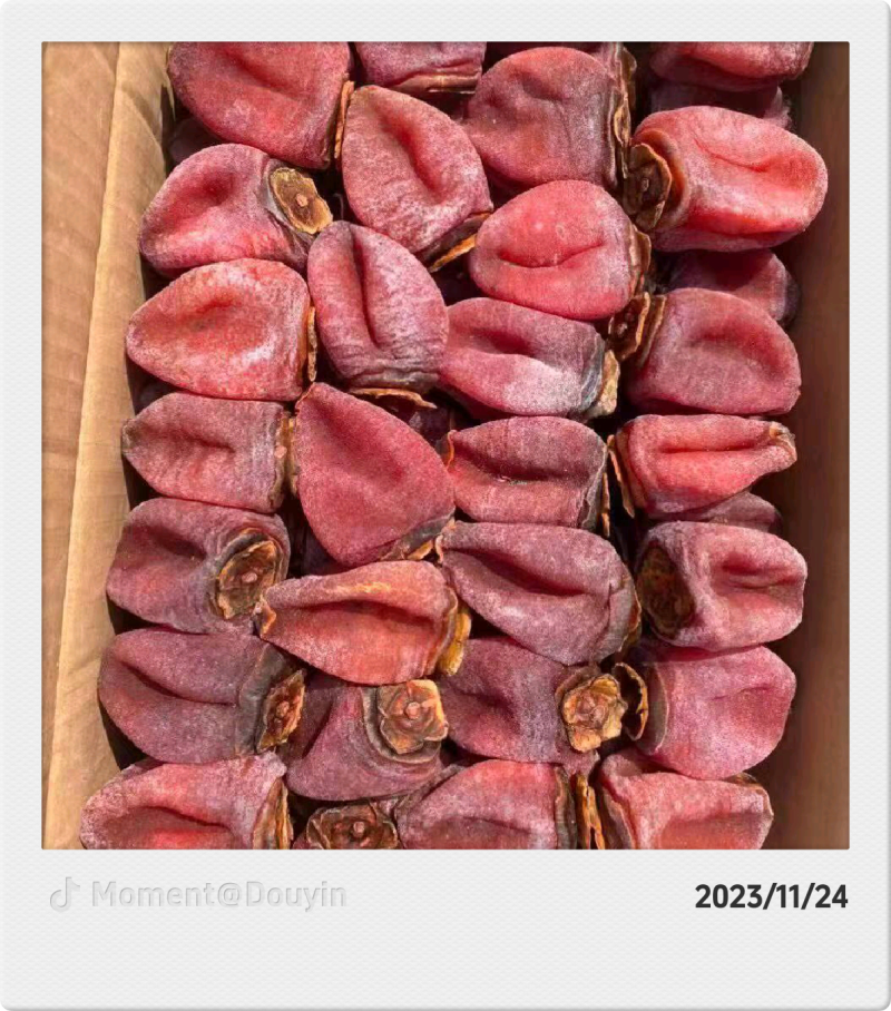 陕西柿饼，各种规格都有