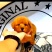 【荐】泰迪犬，泰迪幼犬，泰迪宠物犬，公母都有，疫苗齐全