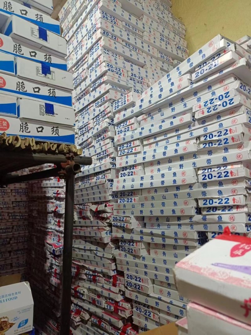 精品带鱼