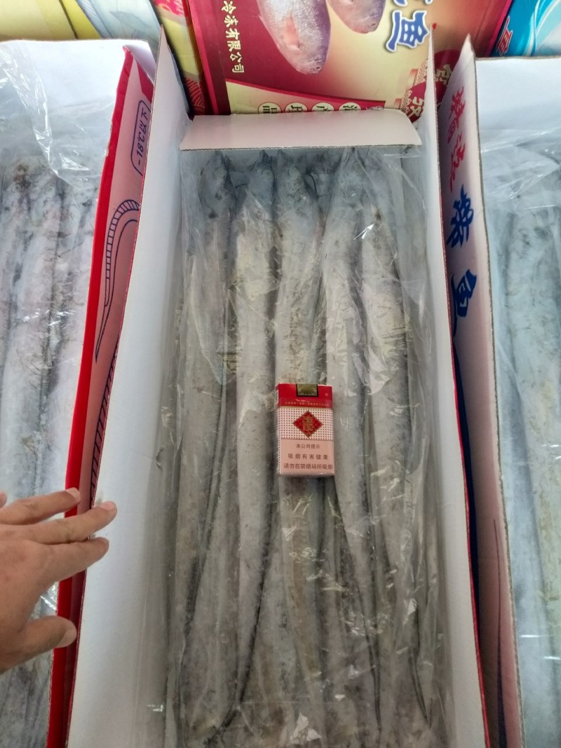 精品带鱼