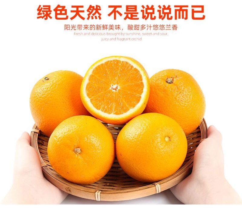 正宗纽荷尔脐橙品质保证价格优惠承接电商一件代发直播