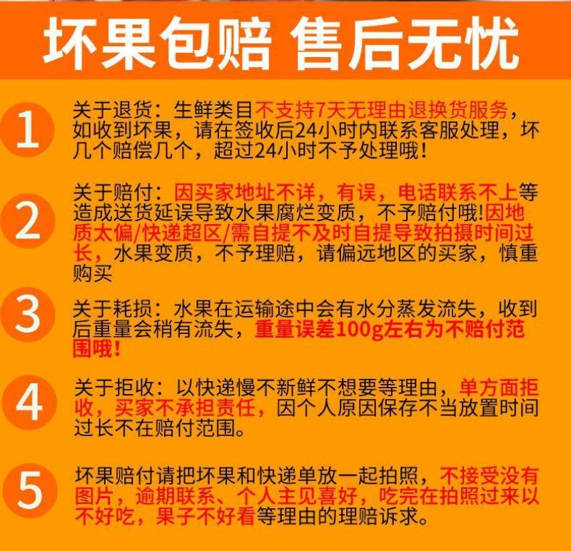 正宗纽荷尔脐橙品质保证价格优惠承接电商一件代发直播