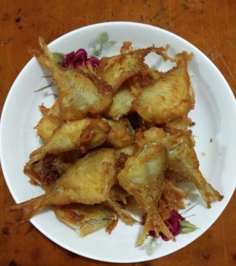玻璃鱼马面鱼耗儿鱼