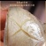 玻璃鱼马面鱼耗儿鱼